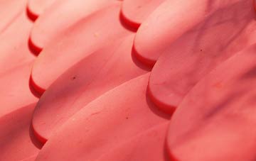 Wood Enderby plastic roof costs